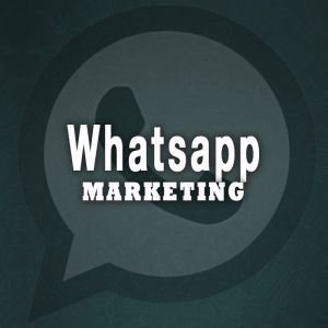 Whatsapp para empresas || Whatsapp marketing