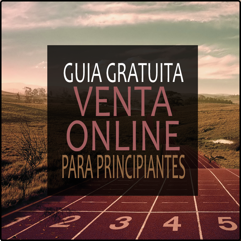 Guia de venta de productos online para principiantes