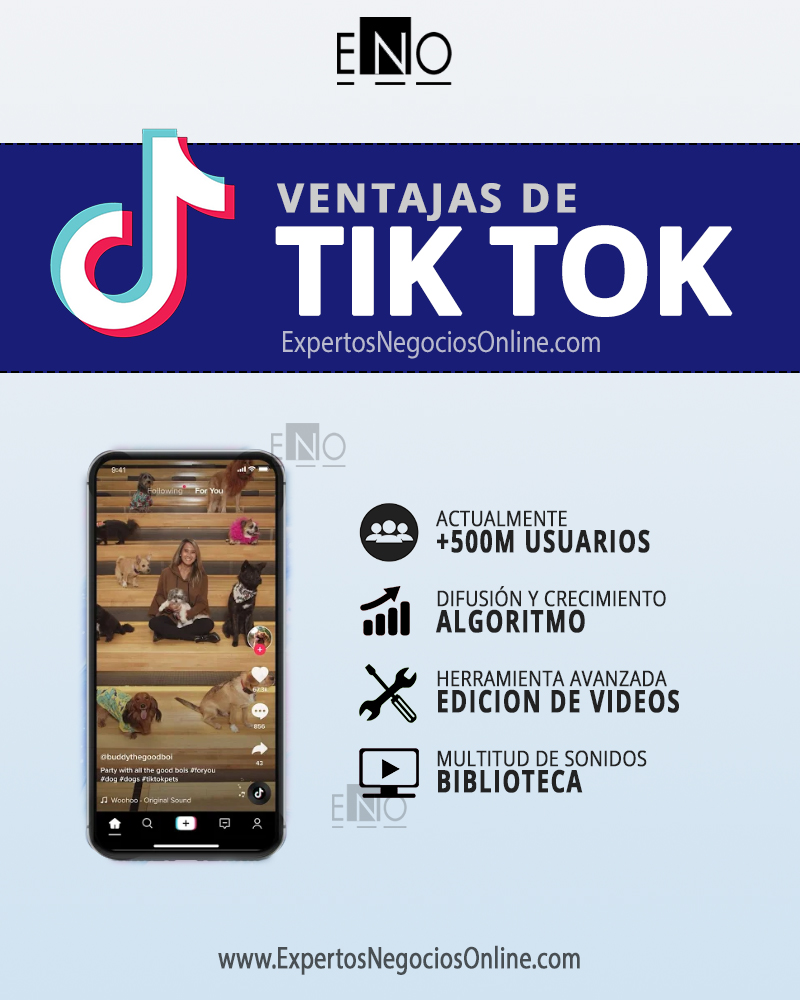 ventajas y desventajas de TikTok