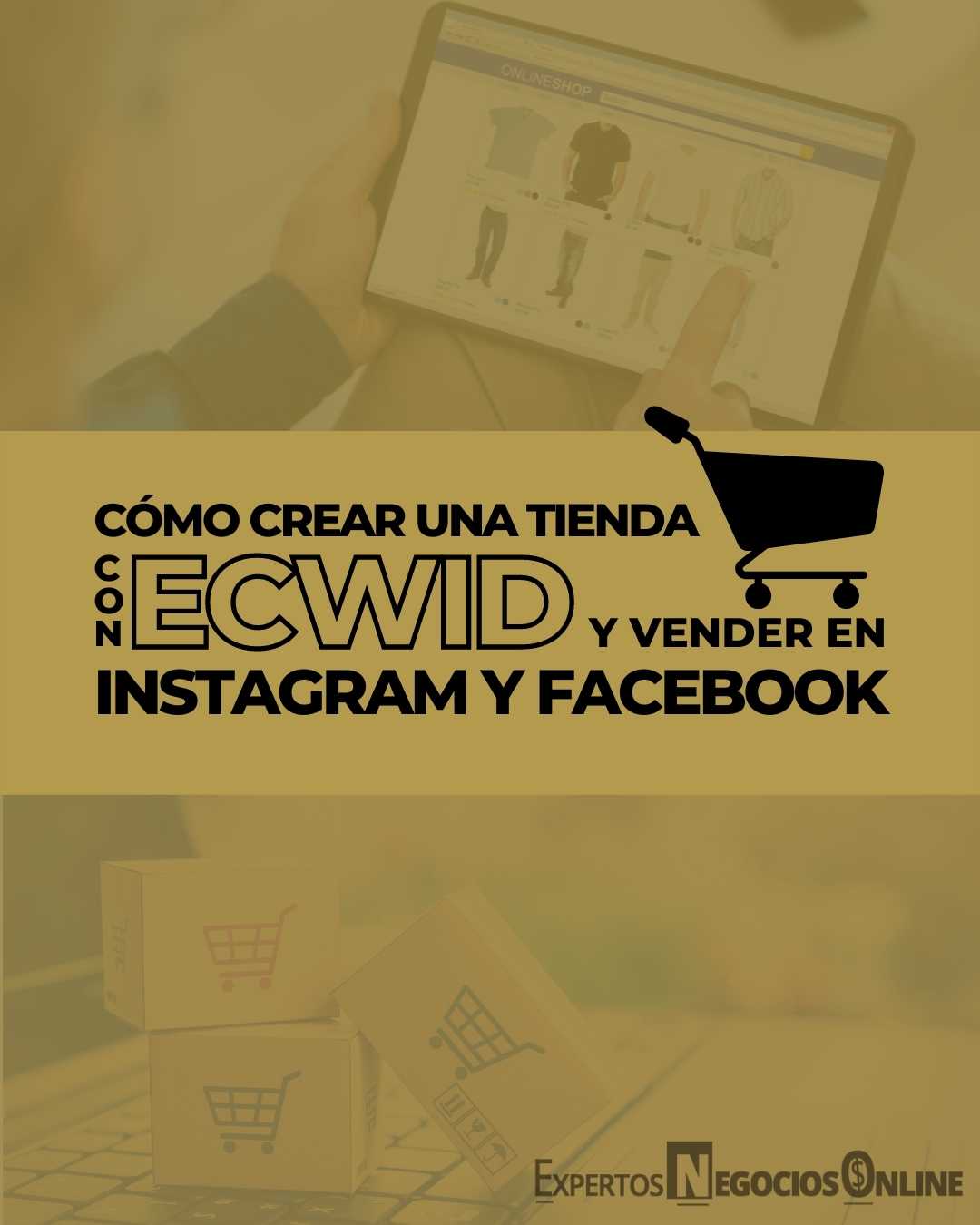 Ejemplos, ventajas y desventajas de una tienda Ecwid - Vincular con Instagram y Facebook