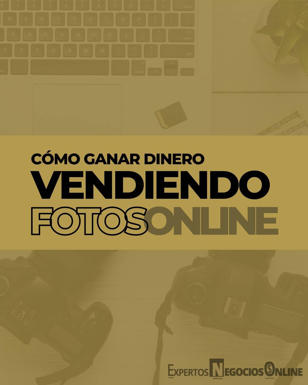 Ganar dinero vendiendo fotos en internet