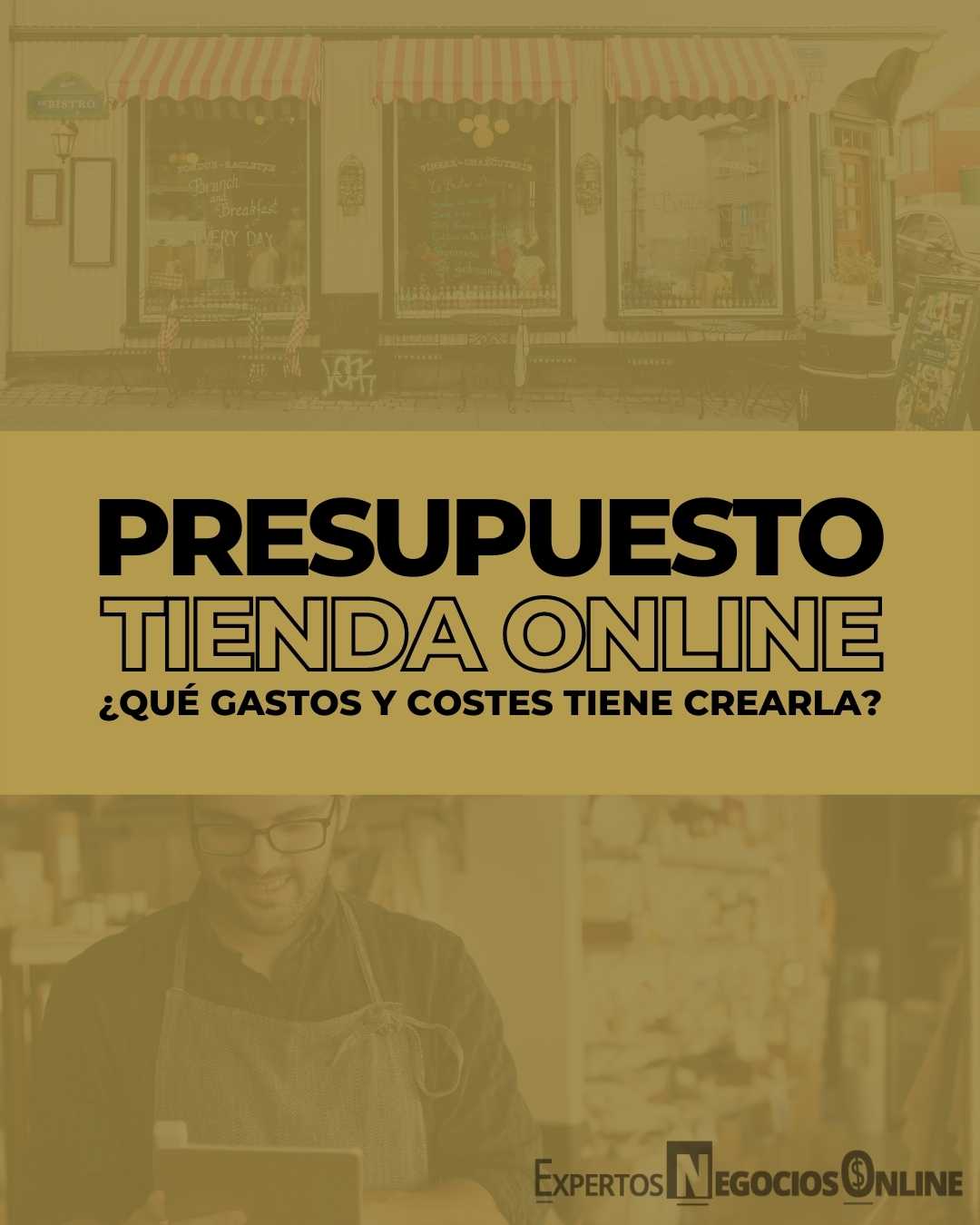 Prever alquitrán sal ▷ PRESUPUESTO para una TIENDA ONLINE - Cuánto dinero necesito