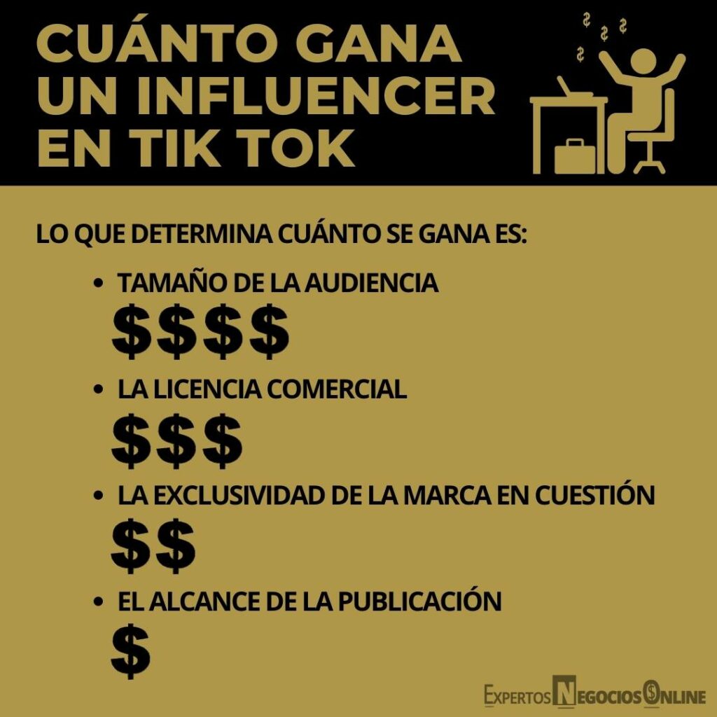 CUÁNTO GANA UN INFLUENCER EN TIK TOK