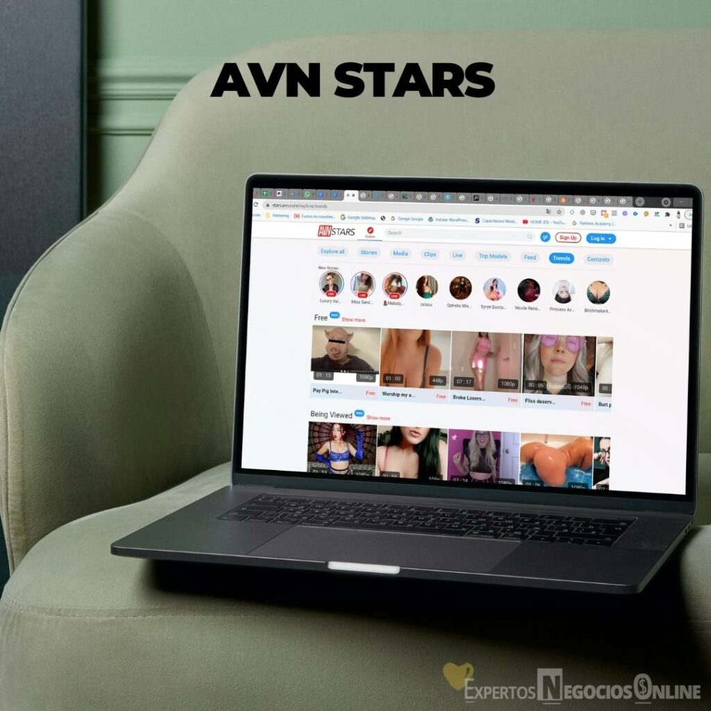 alternativas onlyfans AVN stars