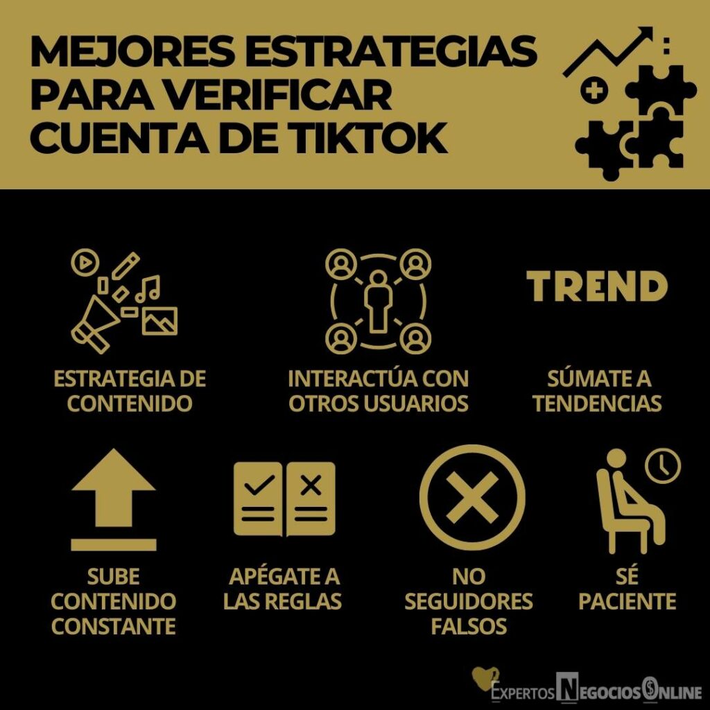 MEJORES ESTRATEGIAS PARA VERIFICAR CUENTA DE TIKTOK