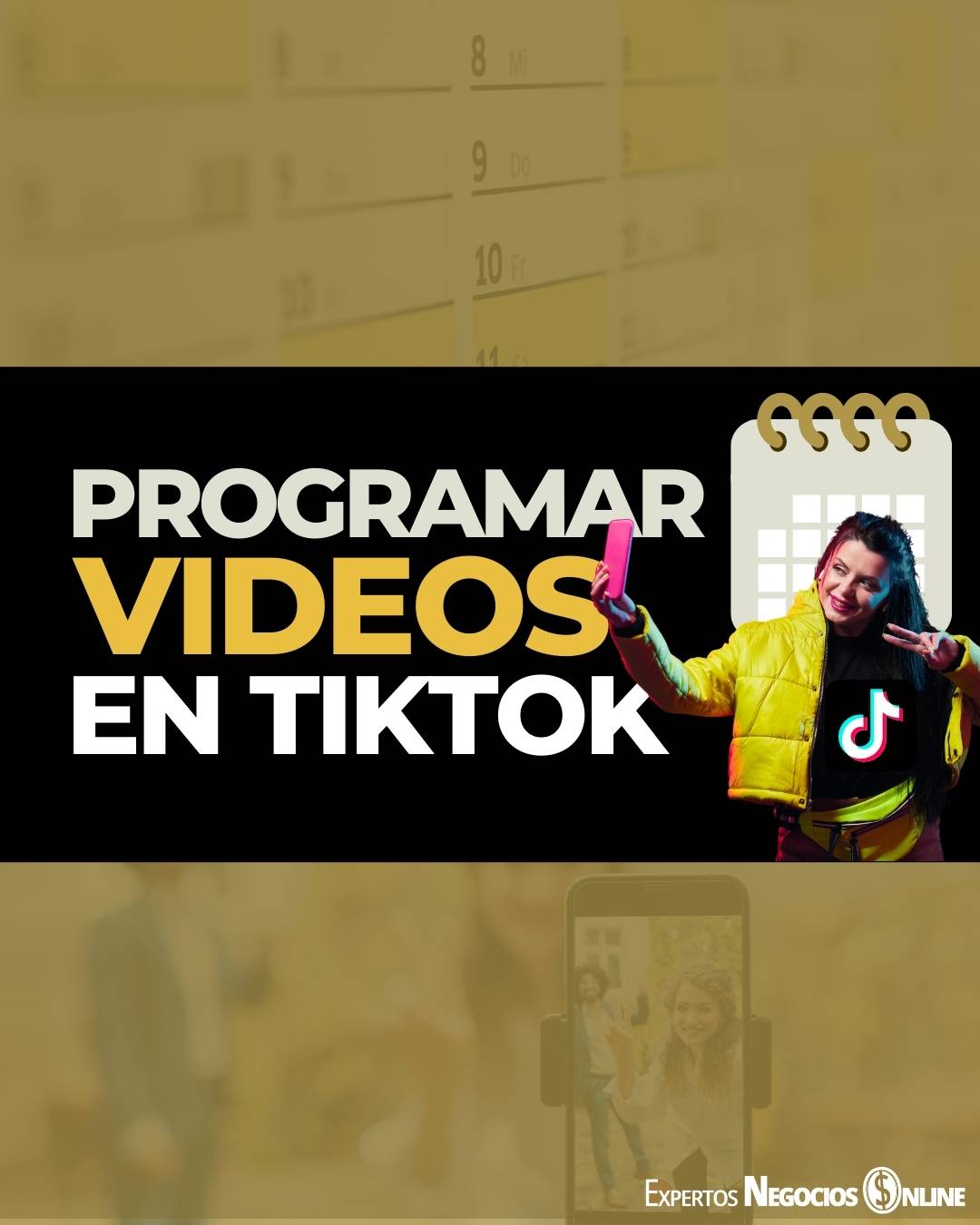 programar video tiktok