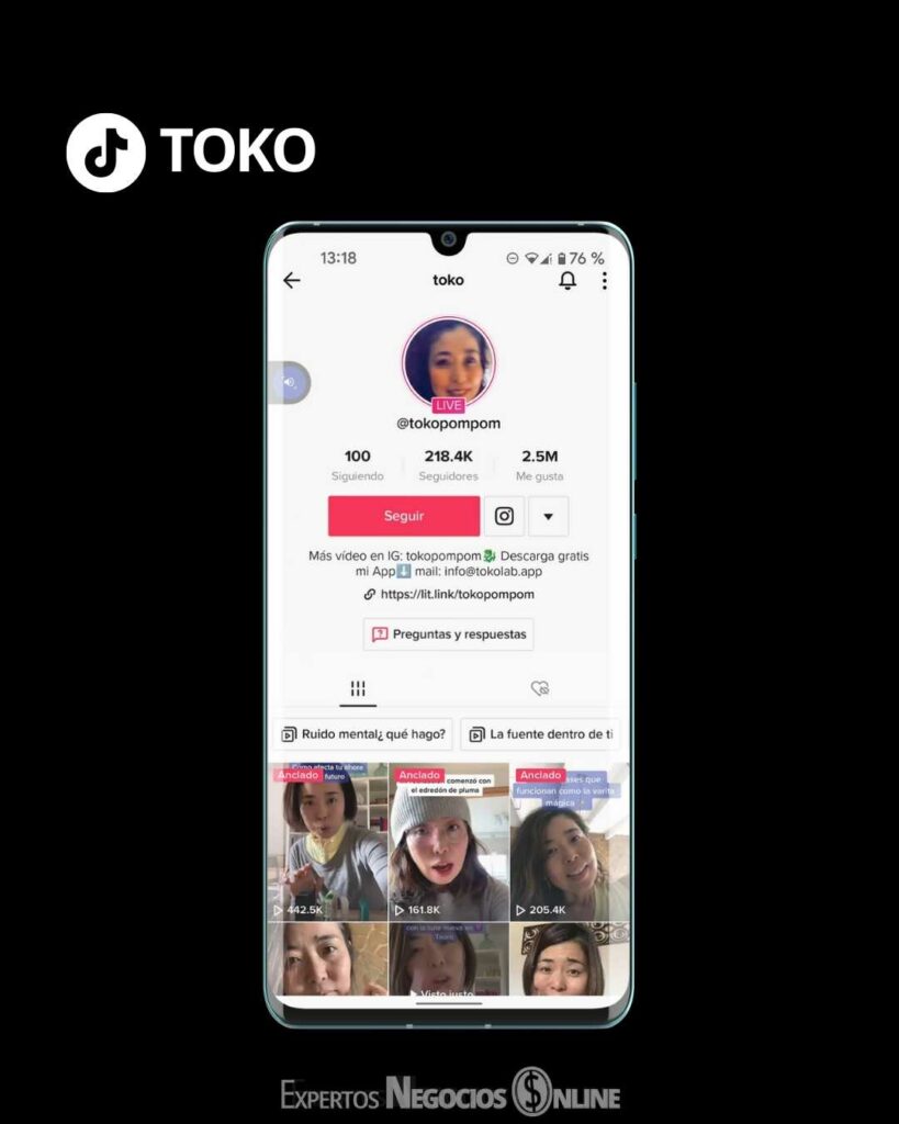 Ejemplo de BIO en TIKTOK - toko