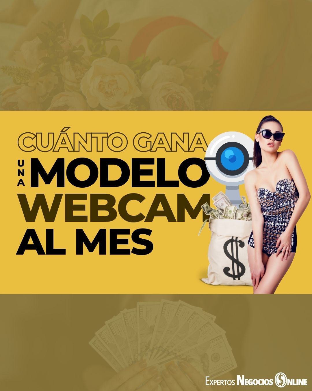 Cuánto gana una modelo webcam al mes