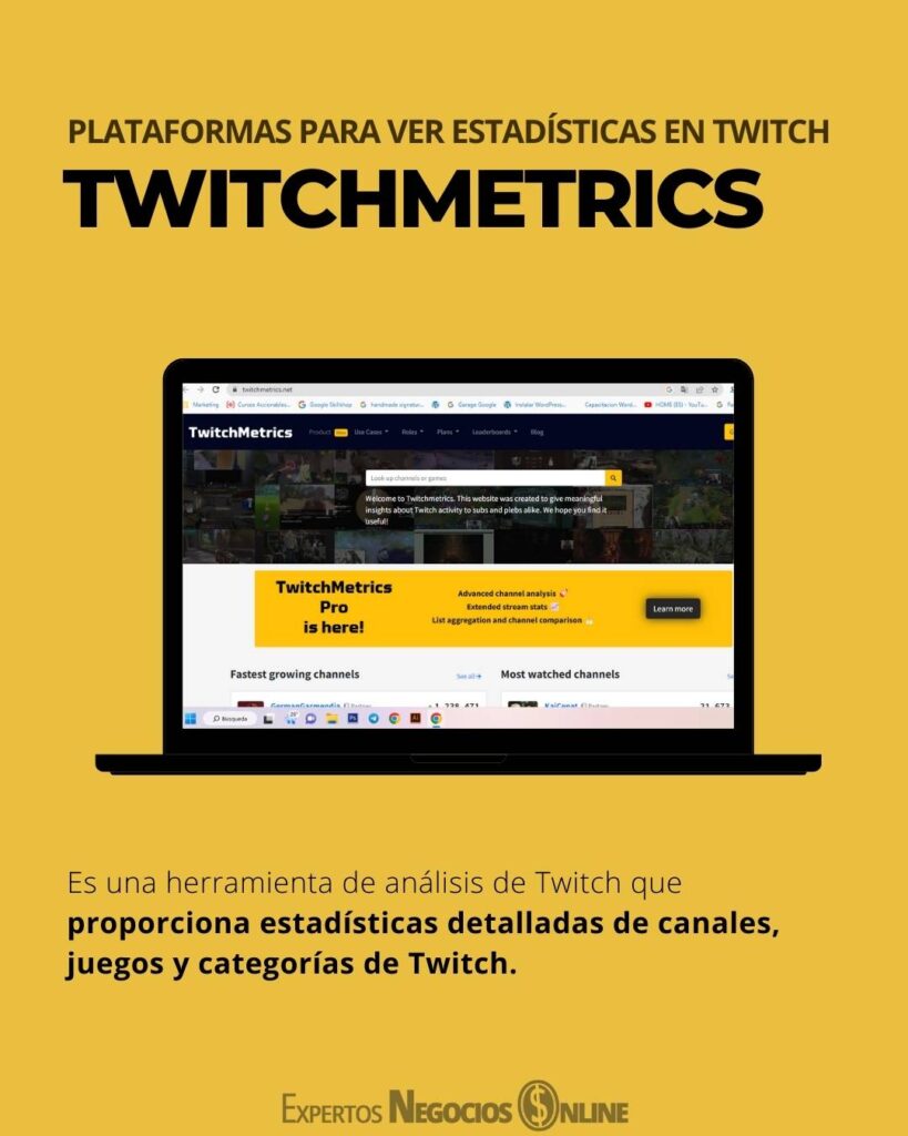 PLATAFORMAS PARA VER ESTADÍSTICAS EN TWITCH