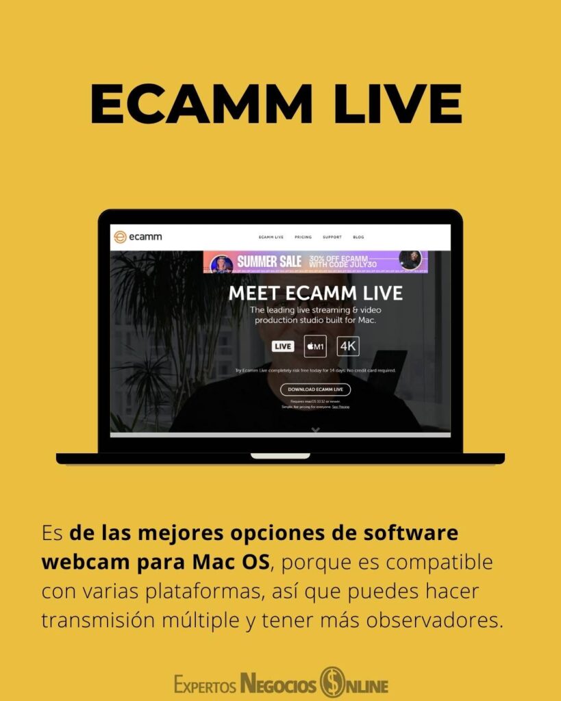 programa para web cam