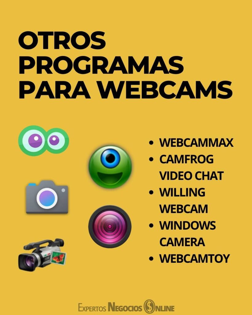 programas webcam