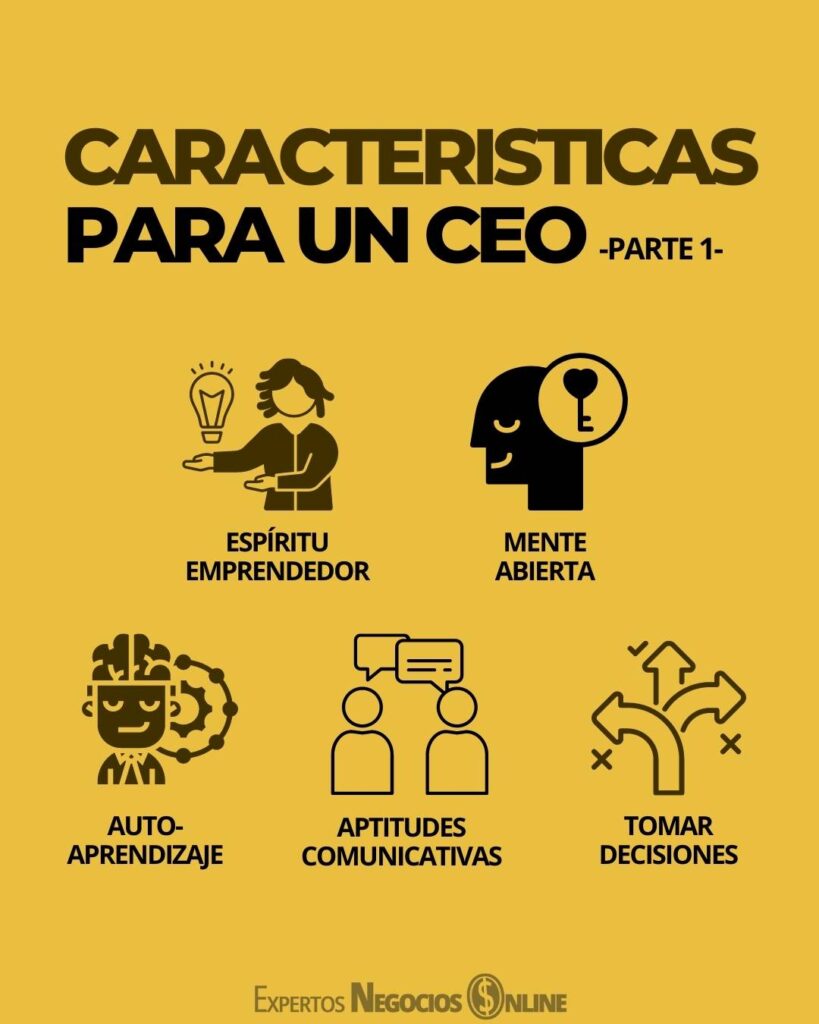 caracteristicas de un ceo