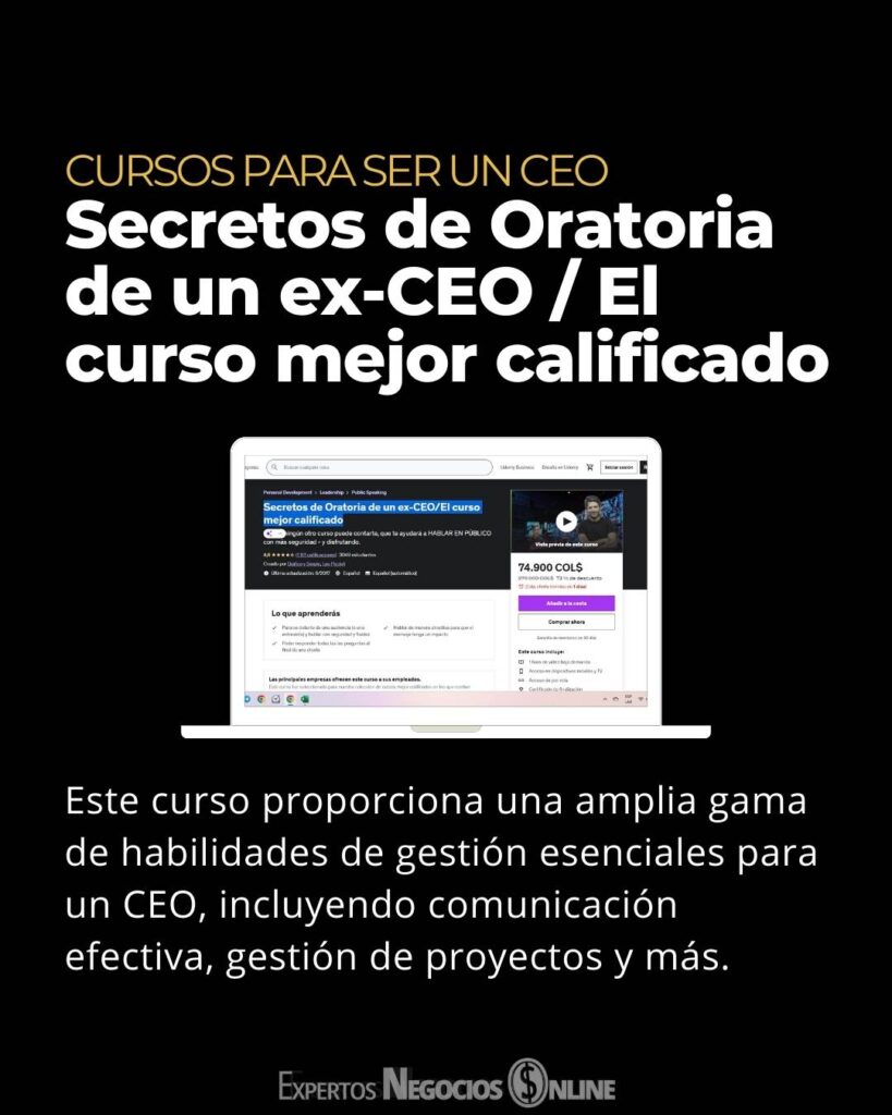 curso para ser un CEO