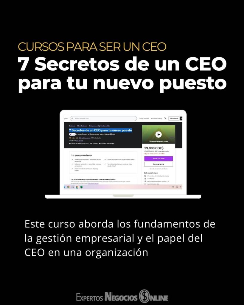 cursos para ser CEO