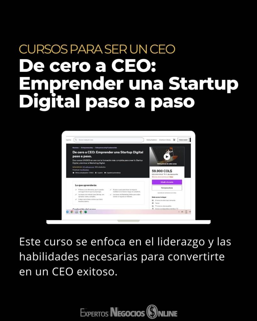 cursos para ser un CEO